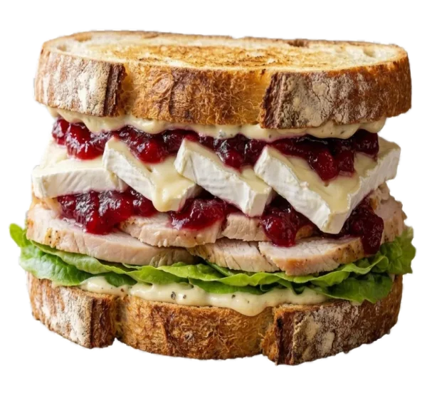 Turkey And Camembert